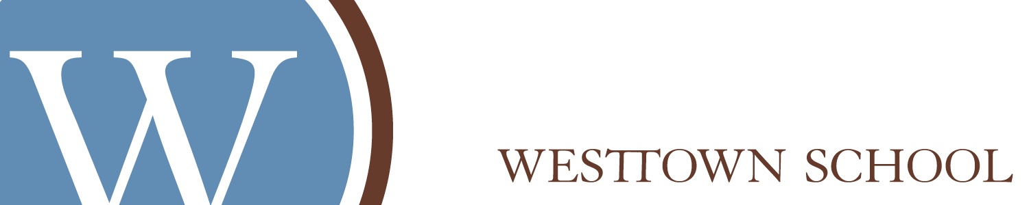 Hubspot_WSI_4-20182.jpg